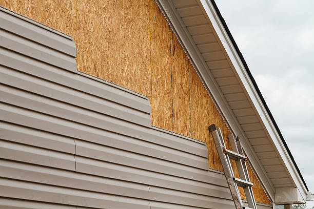 Professional Siding Repair technician working in Winchester, MA